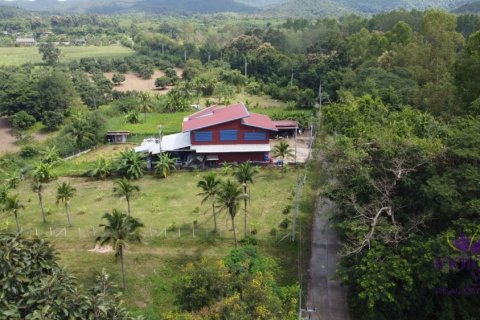 Terreno en San Sai, Tailandia № 205570 - foto 9