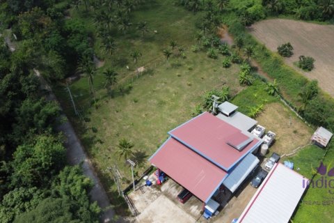 Terreno en San Sai, Tailandia № 205570 - foto 3