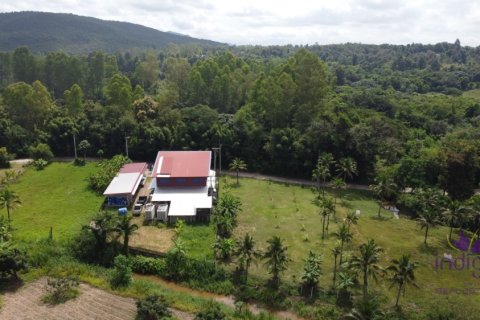 Terreno en San Sai, Tailandia № 205570 - foto 5