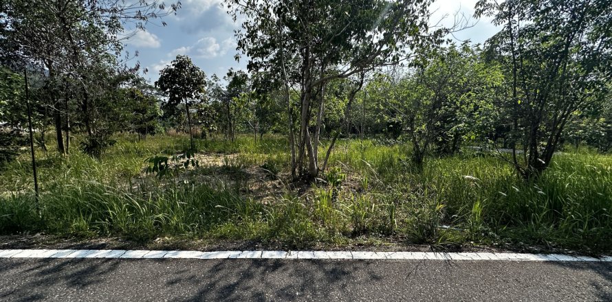 Terrain à Phuket, Thaïlande 1600 m2 № 173153