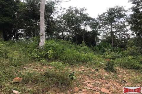 Terreno 33600 m2 en Ko Kaeo, Tailandia № 193690 - foto 3
