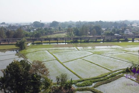 Terreno en Chiang Mai, Tailandia № 162650 - foto 11