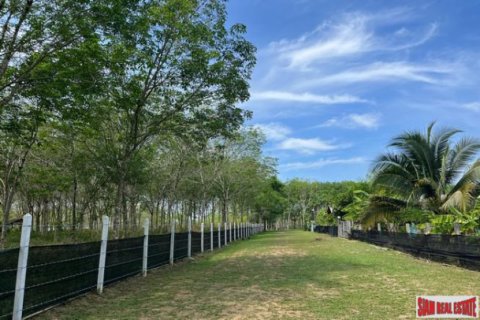 Studio in Phang Nga, Thailand № 203292