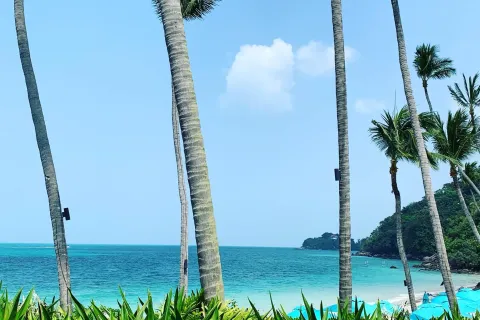 Chalet de 3 dormitorios en Ko Samui, Tailandia № 167525 - foto 24