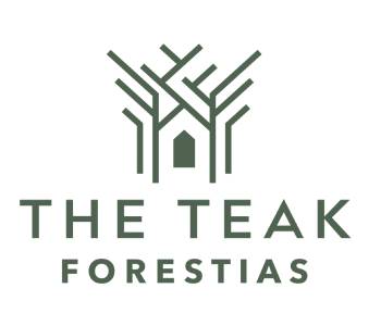 The Teak Forestias
