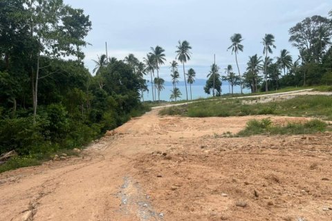 Terreno en Surat Thani, Tailandia № 146844 - foto 3