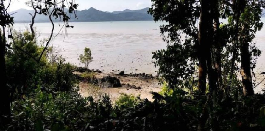 Estudio en Phang Nga, Tailandia № 193785
