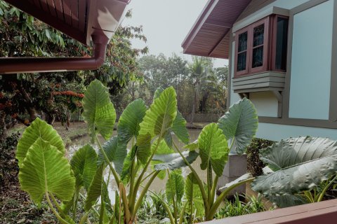 Casa de 2 dormitorios en Chiang Mai, Tailandia № 161195 - foto 12