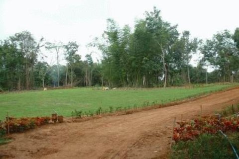 Terreno 72000 m2 en Phang Nga, Tailandia № 202420 - foto 2