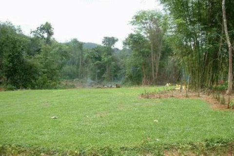Terreno 72000 m2 en Phang Nga, Tailandia № 202420 - foto 4