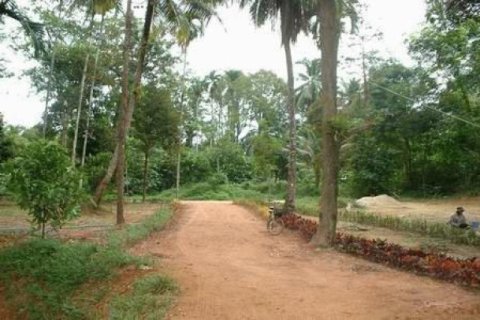 Terreno 72000 m2 en Phang Nga, Tailandia № 202420 - foto 3