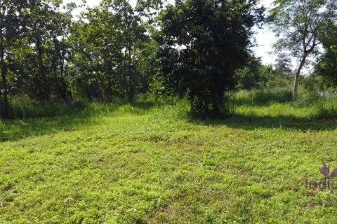 Terreno en San Sai, Tailandia № 205599 - foto 8