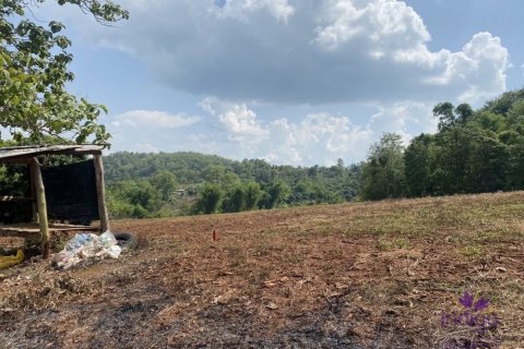 Terreno en Mae Taeng, Tailandia № 205600 - foto 2