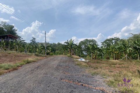 Terreno en Mae Taeng, Tailandia № 205600 - foto 3