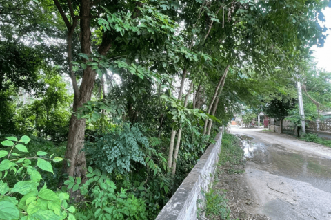 Land in Bang Lamung, Thailand 2340 sq.m. № 115417