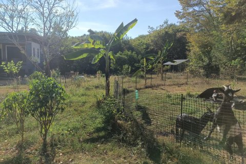 Casa de 4 dormitorios en Klaeng, Tailandia № 170931 - foto 15