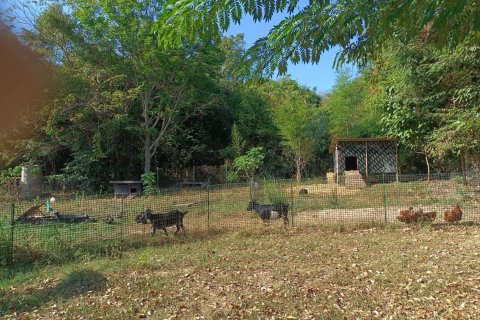 Casa de 4 dormitorios en Klaeng, Tailandia № 170931 - foto 14