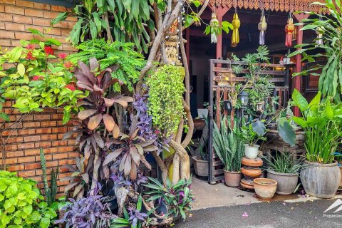 Hôtel à Chiang Mai, Thaïlande 390 m2 № 122802 - photo 3