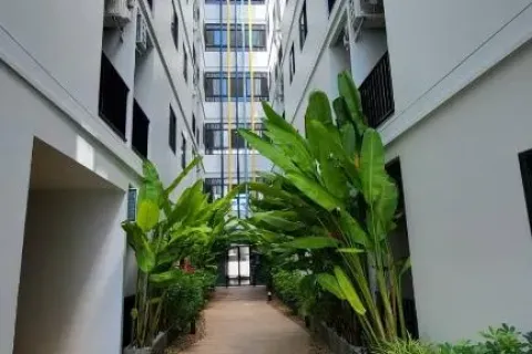 Estudio en Phuket, Tailandia № 203542 - foto 11