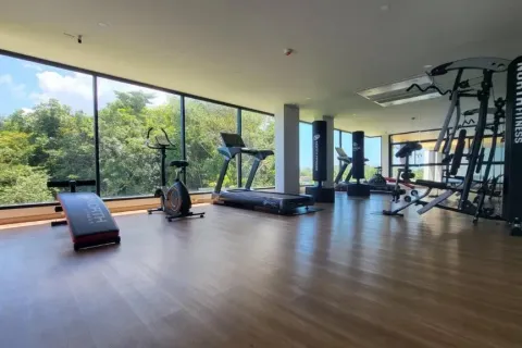 Estudio en Phuket, Tailandia № 203542 - foto 12
