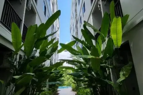 Estudio en Phuket, Tailandia № 203542 - foto 10