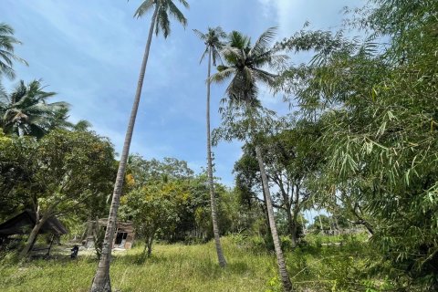 Grundstück in Ko Samui, Thailand 20668 m2 № 172426