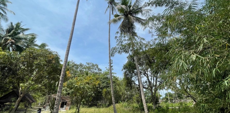 Grundstück in Ko Samui, Thailand 20668 m2 № 172426