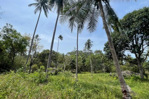 Grundstück in Ko Samui, Thailand 20668 m2 № 172426 - Foto 3