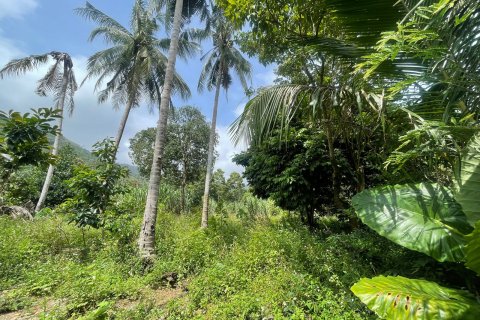 Grundstück in Ko Samui, Thailand 20668 m2 № 172426 - Foto 5