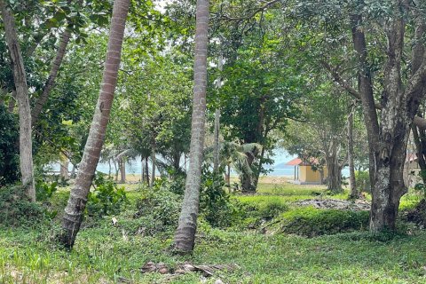 Grundstück in Ko Samui, Thailand 20668 m2 № 172426 - Foto 4