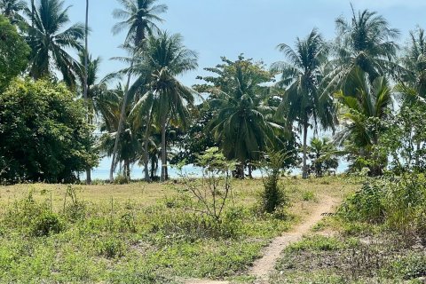 Grundstück in Ko Samui, Thailand 2136 m2 № 172428 - Foto 4