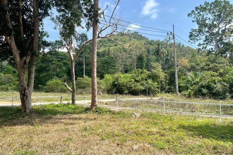 Grundstück in Ko Samui, Thailand 2136 m2 № 172428