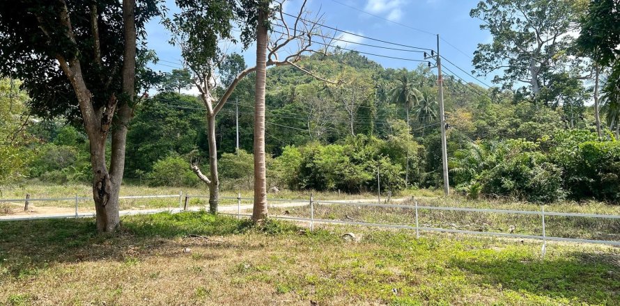 Grundstück in Ko Samui, Thailand 2136 m2 № 172428