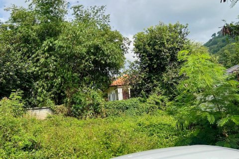 Grundstück in Ko Samui, Thailand 536 m2 № 172425 - Foto 3