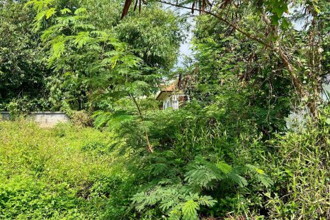 Grundstück in Ko Samui, Thailand 536 m2 № 172425 - Foto 2
