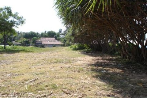 Terreno 132800 m2 en Ko Lanta Yai, Tailandia № 202436 - foto 3