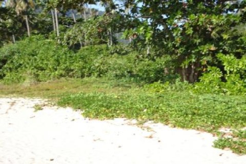 Terreno 86400 m2 en Ko Lanta Yai, Tailandia № 202438 - foto 4