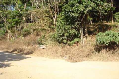 Terreno 97600 m2 en Ko Lanta Yai, Tailandia № 202437 - foto 5
