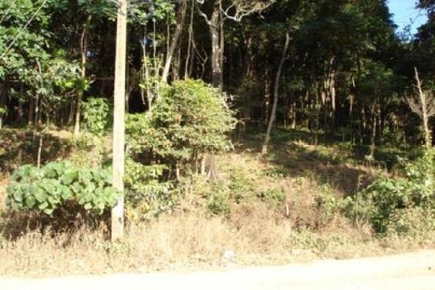 Terreno 97600 m2 en Ko Lanta Yai, Tailandia № 202437 - foto 4