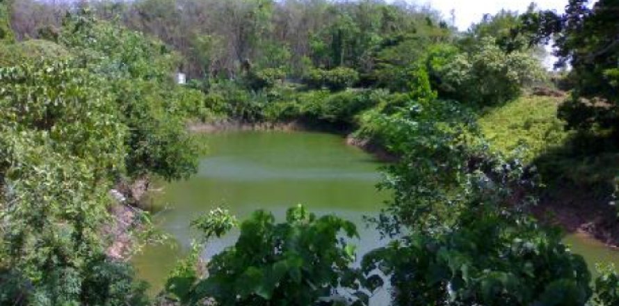 Terreno 14400 m2 en Phuket, Tailandia № 202441