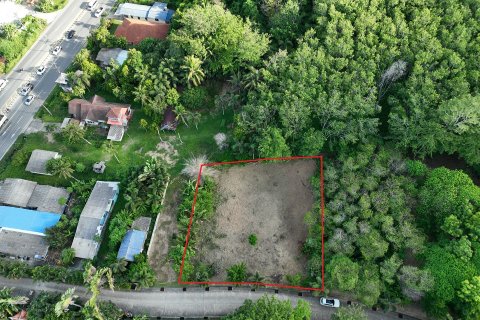 Земельный участок в Паклоке, Таиланд 1256м2  № 161217 - фото 4