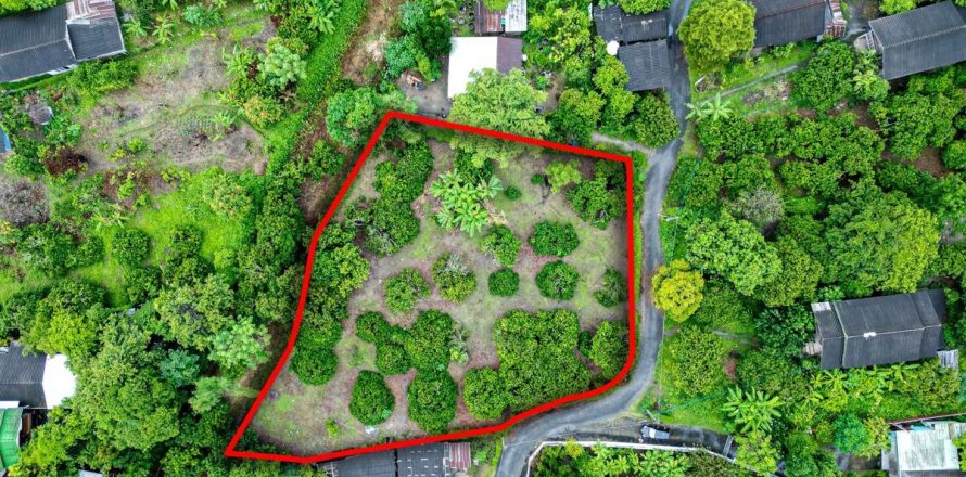 Terreno en Chiang Mai, Tailandia № 205541