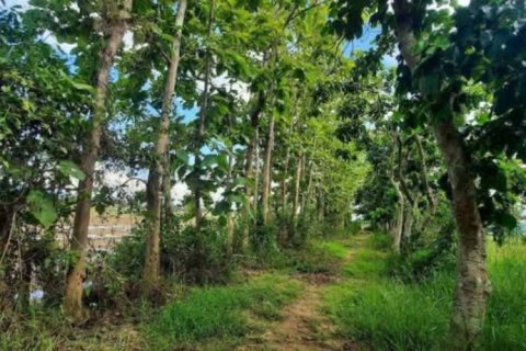 Terreno en Chiang Rai, Tailandia № 162300 - foto 4