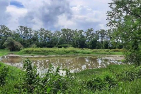 Terreno en Chiang Rai, Tailandia № 162300 - foto 3