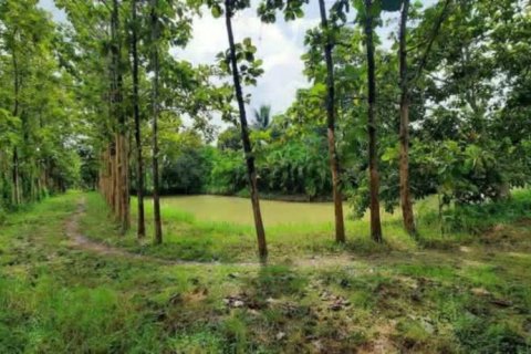 Terreno en Chiang Rai, Tailandia № 162300 - foto 9