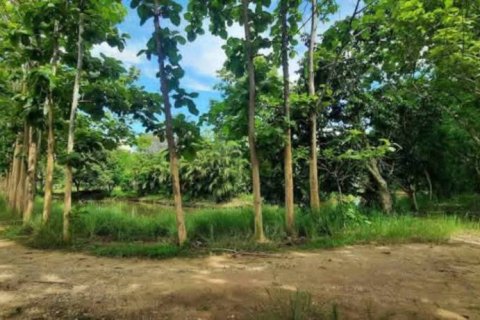 Terreno en Chiang Rai, Tailandia № 162300 - foto 6