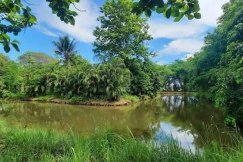 Terreno en Chiang Rai, Tailandia № 162300 - foto 8