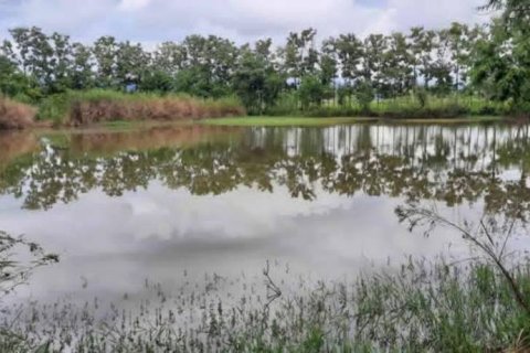 Terreno en Chiang Rai, Tailandia № 162300 - foto 5