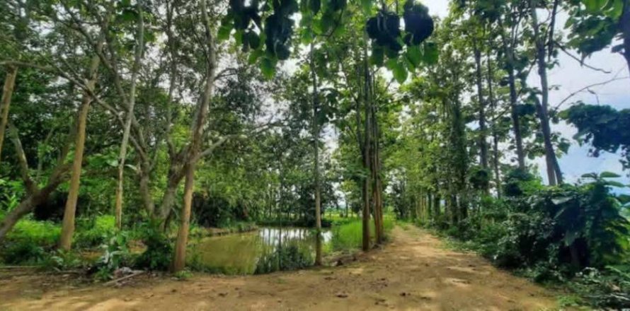 Terreno en Chiang Rai, Tailandia № 162300
