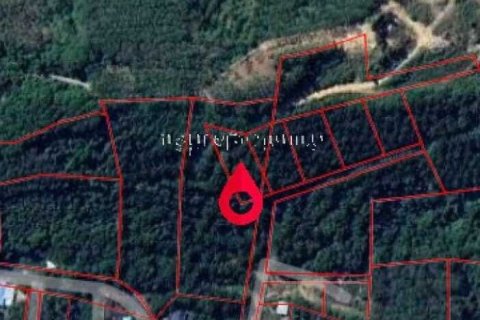 Land in Mai Khao, Thailand 1600 sq.m. № 156128 - photo 4